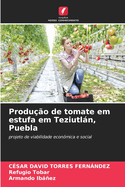 Produ??o de tomate em estufa em Teziutln, Puebla