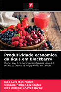 Produtividade econ?mica da gua em Blackberry