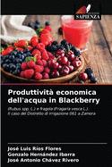 Produttivit? economica dell'acqua in Blackberry