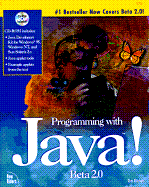 PROGRAMMING JAVA - RITCHEY