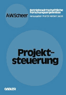 Projektsteuerung