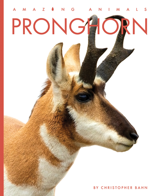 Pronghorn - Bahn, Christopher