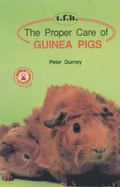 Proper Care Guinea Pigs