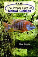 Proper Care Malawi Cichlids