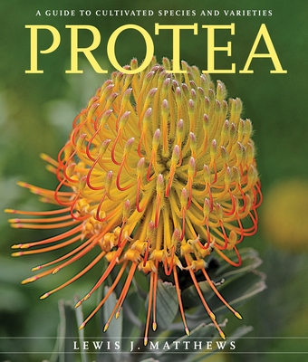 Protea: A Guide to Cultivated Species and Varieties - Matthews, Lewis J