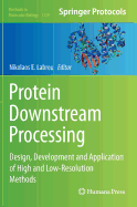 Protein Downstream Processing: Design, Development and Application of High and Low-Resolution Methods