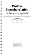 Protein Phosphorylation: A Practical Approach