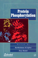 Protein Phosphorylation - Sefton, Bartholomew M (Editor), and Hunter, Tony (Editor)