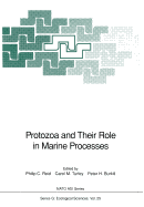 Protozoa and Their Role in Marine Processes