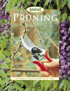 Pruning