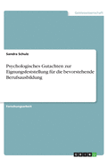 Psychologisches Gutachten zur Eignungsfeststellung f?r die bevorstehende Berufsausbildung