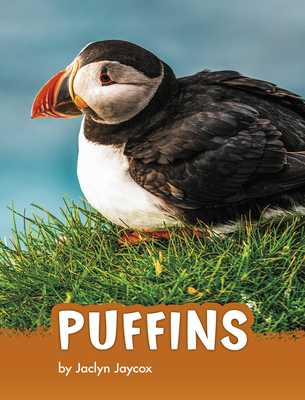 Puffins - Jaycox, Jaclyn