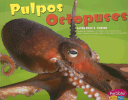 Pulpos/Octopuses