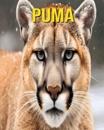 Puma: Fun and Amazing Pictures About Puma