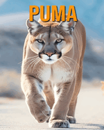 Puma: La gu?a esencial de este incre?ble animal con fotos incre?bles