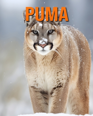 Puma: Lustige und faszinierende Fakten und Bilder ?ber Puma - Hawthorn, Raine