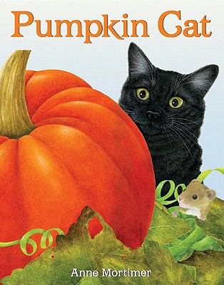 Pumpkin Cat - 