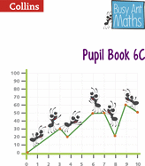 Pupil Book 6C