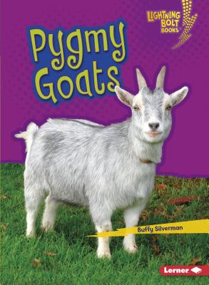 Pygmy Goats - Silverman, Buffy