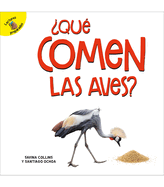 ?qu? Comen Las Aves?: What Do Birds Eat?