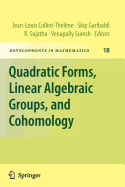 Quadratic Forms, Linear Algebraic Groups, and Cohomology