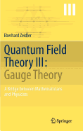 Quantum Field Theory III: Gauge Theory: A Bridge between Mathematicians and Physicists