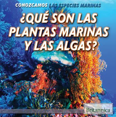 Que Son Las Plantas Marinas y Las Algas? (What Are Sea Plants and Algae?) - Steinberg, Lynnae