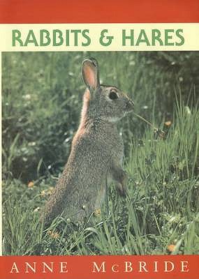Rabbits and Hares - McBride, Anne