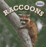 Raccoons