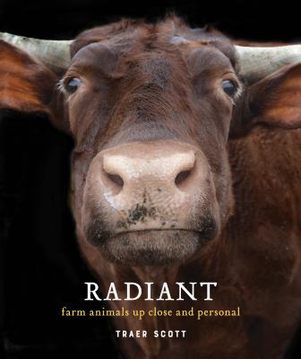 Radiant: Farm Animals Up Close and Personal - Scott, Traer