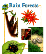 Rain Forests