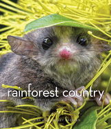 Rainforest Country