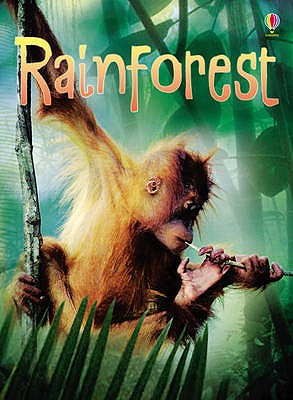 Rainforests - Bowman, Lucy