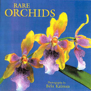 Rare Orchids