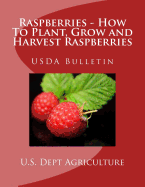 Raspberries - How to Plant, Grow and Harvest Raspberries: USDA Bulletin