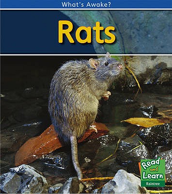 Rats - Whitehouse, Patricia