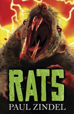 Rats - Zindel, Paul