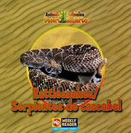 Rattlesnakes / Serpientes de Cascabel