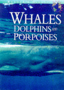 Reader's Digest explores whales, dolphins and porpoises.