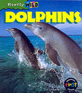 Really Wild: Dolphin Paperback