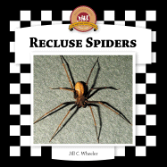 Recluse Spiders