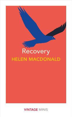 Recovery: Vintage Minis - Macdonald, Helen