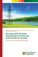 Recupera??o de reas degradadas em linhas de transmiss?o de energia