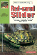 Red Eared Slider Turtles Real - Patterson, Jordan