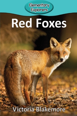 Red Foxes - Blakemore, Victoria