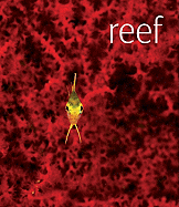 Reef - Scubazoo (Creator)