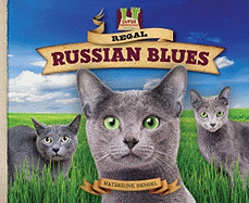 Regal Russian Blues