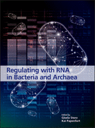 Regulating with RNA in Bacteria and Archaea