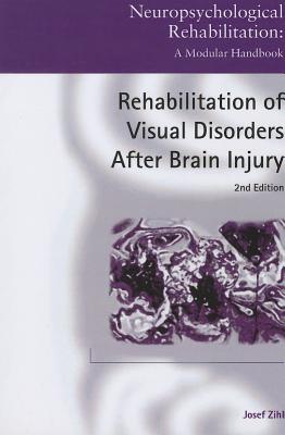 Rehabilitation of Visual Disorders After Brain Injury: 2nd Edition - Zihl, Josef