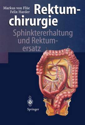 Rektumchirurgie: Sphinktererhaltung Und Rektumersatz - Beglinger, C, and Fl?e, Markus Von, and Herfarth, C (Foreword by)